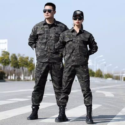 중동 시장에 적합합니다.